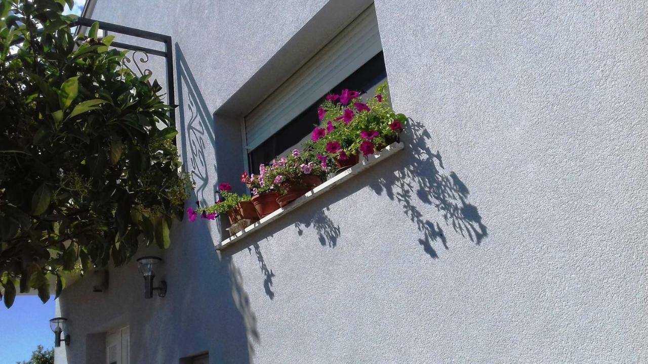 Apartment Lavander 01 Pula Dış mekan fotoğraf